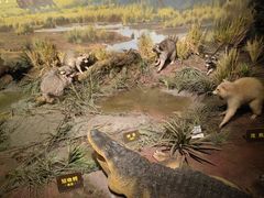 -陕西自然博物馆