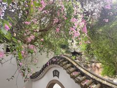 -深圳国际园林花卉博览园