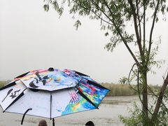 -白洋淀景区