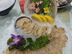 象拔蚌刺身-嘉升大排档(番禺总店)