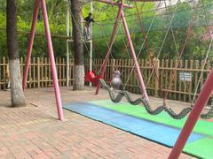 -洛阳市隋唐城遗址植物园