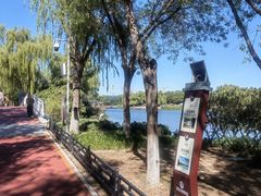 -大兴滨河森林公园