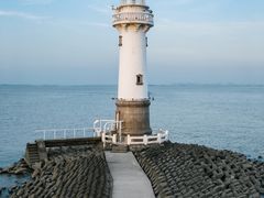 -上海吴淞炮台湾国家湿地公园