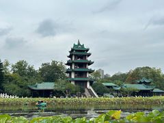-桂湖森林公园