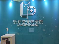 -乐派堂宠物医院·猫友好· 心脏科(东街店)
