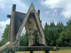 -上海野生动物园