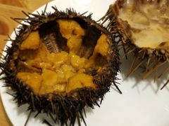 -海胆小馆(东北水饺·春柳店)