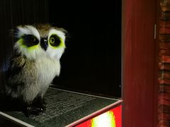 -MJ魔爵全机关真人密室逃脱(青浦万达茂店)