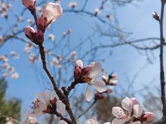 -周口店北京人遗址公园