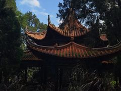-昆明动物园