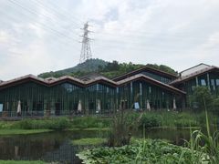 -西湖风景区-江洋畈生态公园