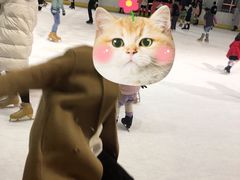 -冠军冰场CHAMPION RINK(百联又一城店)