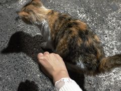 -咸宁站