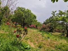 -名花谷生态庄园