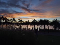 -宝安西湾红树林湿地公园