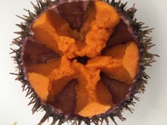 -海胆小馆(东北水饺·春柳店)