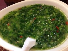 青菜钵-糊涂兔毛毛菜(八里庄店)