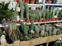 -无锡文化工艺品市场(槐古路店)