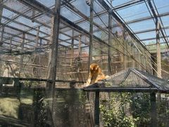 -石家庄市动物园