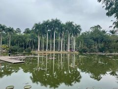 -中国科学院西双版纳热带植物园