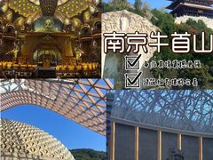 -牛首山文化旅游区