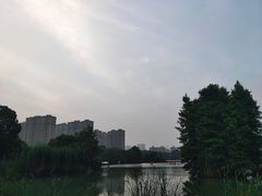 -青枫公园