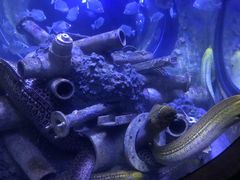 -成都浩海立方海洋公园