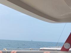 -小猫钓鱼海钓俱乐部(椰梦长廊店)