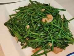 猪油渣炒台湾漱菜-匠心牛公馆·潮汕牛肉海鲜火锅(索菲特店)