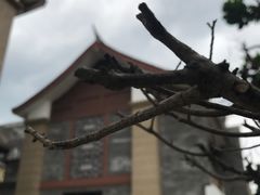 -新津老码头旅游小镇