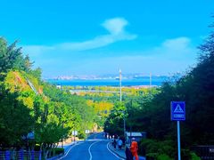 -棒棰岛宾馆景区
