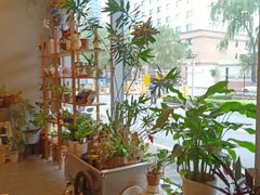 -dotcom coffee古点咖啡(致真大厦店)