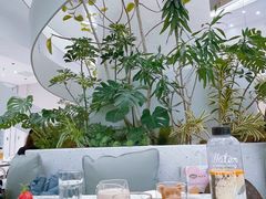 -大树餐厅(朝阳大悦城店)