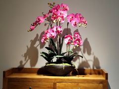 -泰华海鲜中餐厅(普吉镇店)