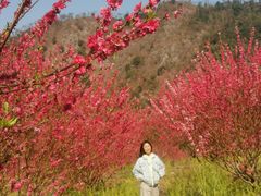 -广州市石门国家森林公园