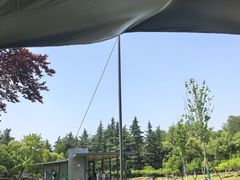 -月湖风景区