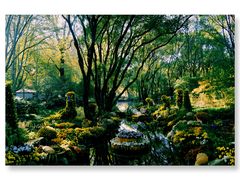 -上海共青森林公园