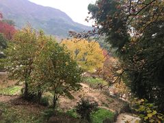 -塔川景区