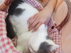 -大悦城(沈阳中街店)