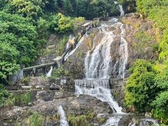 -梧桐山风景名胜区