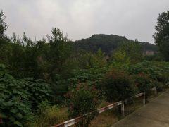 -冶山国家矿山公园