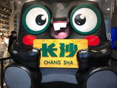 -黑色经典臭豆腐·湖南特产(坡子街特产局店)