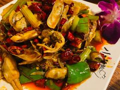 -福苗小骆驼烧烤(莲湖路店)