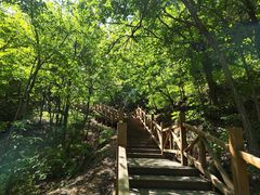 -大岭沟猕猴桃谷风景区