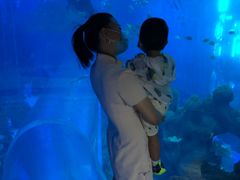 -成都浩海立方海洋公园