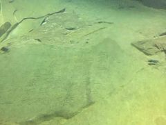 -白鹤梁水下博物馆