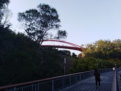 -金鸡山公园