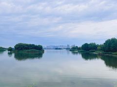 -长广溪湿地公园