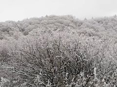 -秦岭风景区