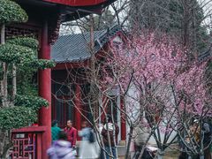 -堤角公园